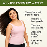 Rosemary Water | Hair Growth Expert | Rosemary Water For Hair | Hair Sprey for Regrowth 100ML (pack of 3)