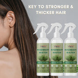 Rosemary Water | Hair Growth Expert | Rosemary Water For Hair | Hair Sprey for Regrowth 100ML (pack of 3)