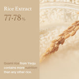 Rice Toner - Hydrating Korean Skincare for Glowing, Smooth, Radiant Skin- 100 ml (Pack of 3)